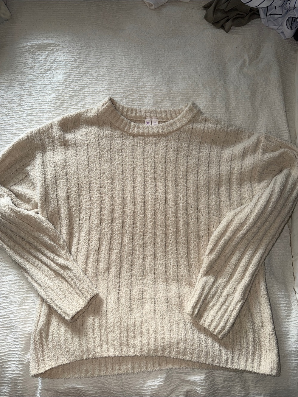 Cozy Ribbed Crewneck Sweater in Light Beige